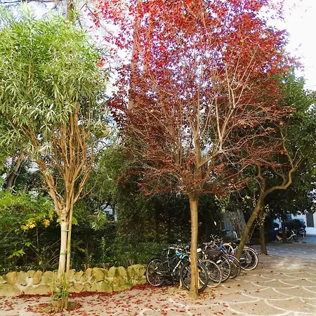 아파트 Domus Dino