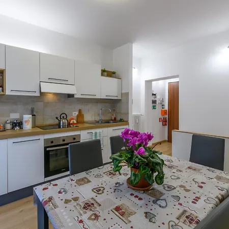 Apartment Domus Dino *